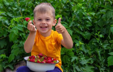 Çocuk bahçede çilek ve bir kase çilek tutuyor..