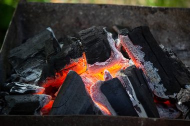 Barbeküde odun yanıyor. Doğa.