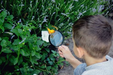 Mutlu bir çocuk büyütece bakar, güneşli bir yaz gününün tadını çıkarır.