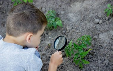 Mutlu bir çocuk büyütece bakar, güneşli bir yaz gününün tadını çıkarır.