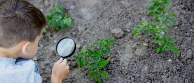 Mutlu bir çocuk büyütece bakar, güneşli bir yaz gününün tadını çıkarır.