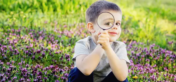 A child looks through a magnifying glass. A big child\'s eye