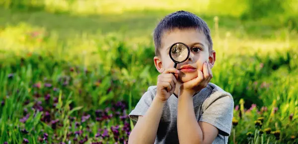 A child looks through a magnifying glass. A big child\'s eye