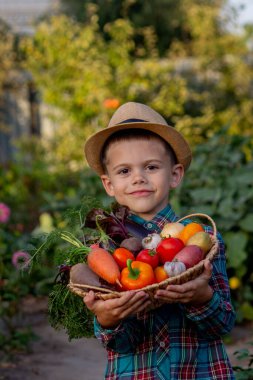 Bahçedeki çocuk elinde taze toplanmış sebzelerle dolu bir kase tutuyor. seçici odak.