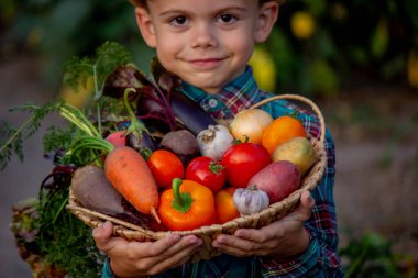 Bahçedeki çocuk elinde taze toplanmış sebzelerle dolu bir kase tutuyor. seçici odak.