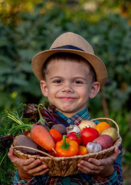 Bahçedeki çocuk elinde taze toplanmış sebzelerle dolu bir kase tutuyor. seçici odak.