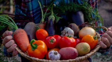 Bahçedeki çocuk elinde taze toplanmış sebzelerle dolu bir kase tutuyor. seçici odak.