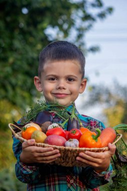Bahçedeki çocuk elinde taze toplanmış sebzelerle dolu bir kase tutuyor. seçici odak.