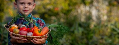 Bahçedeki çocuk elinde taze toplanmış sebzelerle dolu bir kase tutuyor. seçici odak.
