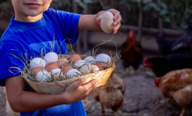 Çiftlik arka planında tavuk yumurtaları olan sepeti tutan çocuk. Seçici odak.