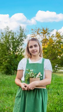 Bir kadın şifalı bitkiler toplar ve bitkisel tentürler üretir.