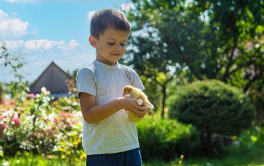 Doğanın arka planında elinde bir tavuk tutan mutlu küçük çocuk..
