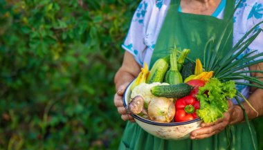 Bahçede sebze tutan yaşlı kadın..
