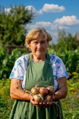 Yaşlı bir kadın elinde bir soğan tutuyor.