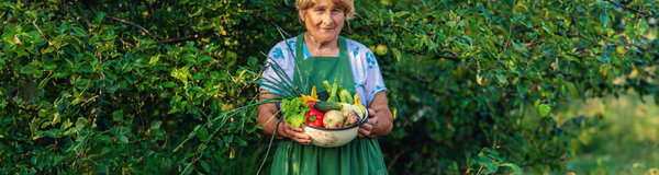 Старшая женщина держит овощи в саду