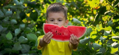 Bir çocuk yazın lezzetli bir karpuz yer.