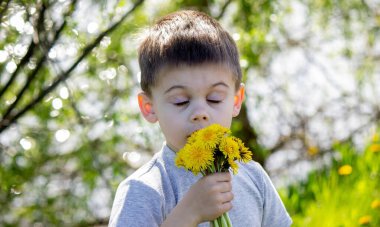 Komik bebek karahindiba kokluyor. Doğada bahar. Çiçeklenmeye alerjisi var. polene polinom alerjisi