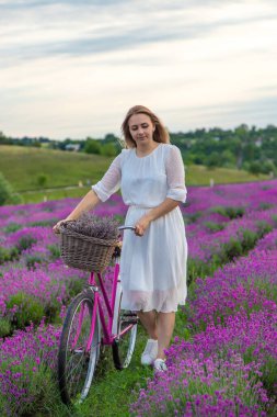 Beyaz elbiseli bir kadın bir bisiklet ile lavanta tarlasında yürüyor.