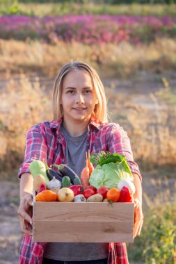 Elinde taze çiğ sebzelerle dolu tahta bir kutu tutan dişi çiftçi. Sebzeli sepet