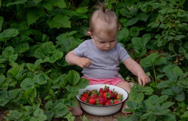 Küçük kız bahçede çilek yiyor. Seçici odak.