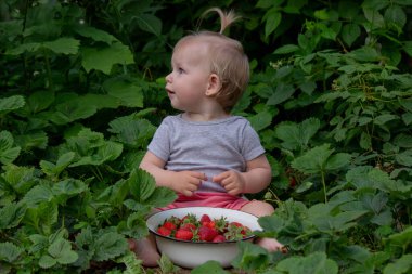 Küçük kız bahçede çilek yiyor. Seçici odak.