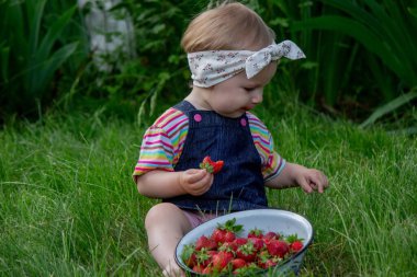 Küçük kız bahçede çilek yiyor. Seçici odak.