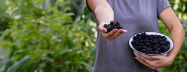 Bir kadın elinde bir kase böğürtlen tutuyor. Seçici odak.