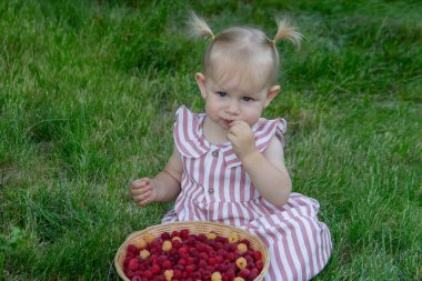 Küçük bir kız ahududu yiyor. Seçici odak.