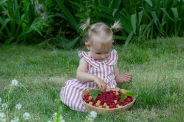 Küçük bir kız ahududu yiyor. Seçici odak.