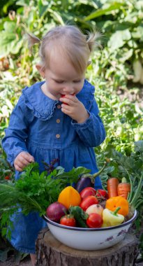 Küçük kız kaseden taze sebze topladı. Seçici odak.