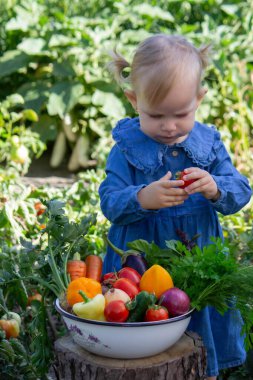 Küçük kız kaseden taze sebze topladı. Seçici odak.