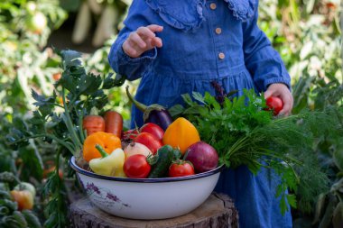Küçük kız kaseden taze sebze topladı. Seçici odak.