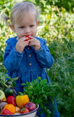 Küçük kız kaseden taze sebze topladı. Seçici odak.