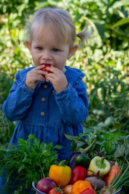 Küçük kız kaseden taze sebze topladı. Seçici odak.