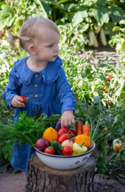 Küçük kız kaseden taze sebze topladı. Seçici odak.