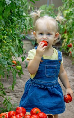 Bahçede domates yiyen küçük bir kız. Seçici odak.