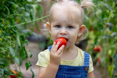 Bahçede domates yiyen küçük bir kız. Seçici odak.