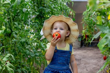 Bahçede domates yiyen küçük bir kız. Seçici odak.