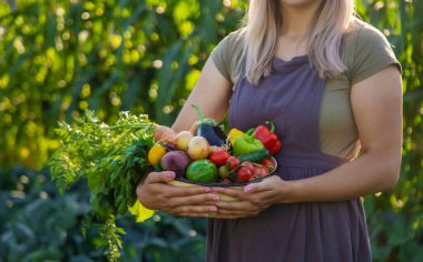 Kadın çiftçi elinde çeşitli taze çiftlik sebzeleriyle büyük bir tabak tutuyor. Sonbahar hasadı.