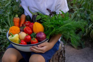 Çocuk taze sebzeleri kasede tutuyor. Seçici odak.
