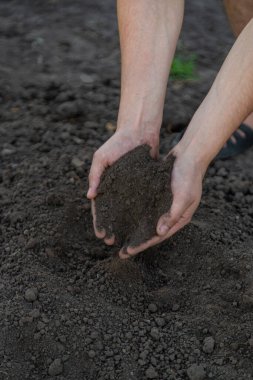 Bir adam toprağı yakın mesafeden tutuyor. Seçici odak.