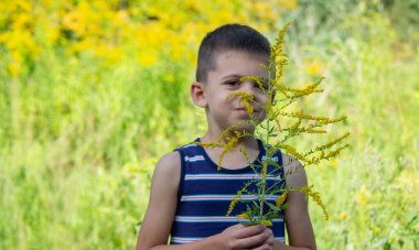 Erkek Ambrosia alerjisi. Seçici odak.