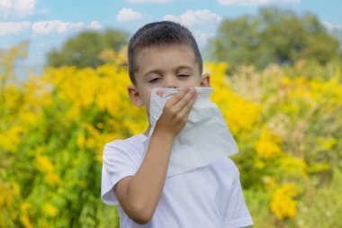 Erkek Ambrosia alerjisi. Seçici odak.