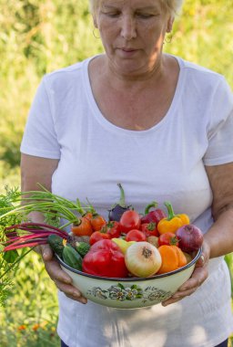 Bahçedeki yaşlı kadın elinde taze sebzelerle kasede. Seçici odak.