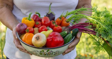 Bahçedeki yaşlı kadın elinde taze sebzelerle kasede. Seçici odak.