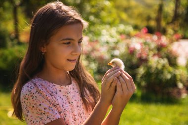Bir kız elinde bir çiftlikte tavuk tutuyor ve kırsalda tarım eğitimi alıyor.