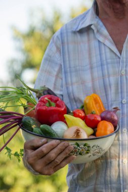 Çiftçi bahçede bir kase sebze tutuyor. Seçici odak.