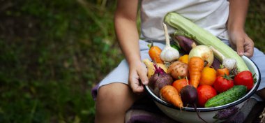 Çocuk bir kase sebze tutuyor, bahçeden hasat ediyor. hasat