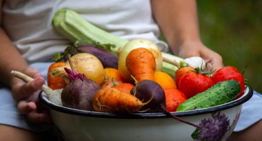 Çocuk bir kase sebze tutuyor, bahçeden hasat ediyor. hasat