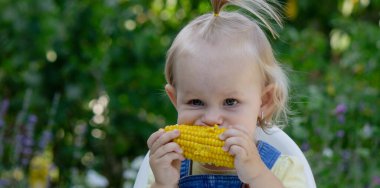Küçük kız mısır yiyor. Seçici odak.
